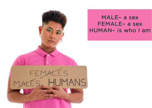 Male. Female. Human. Human is who I am.