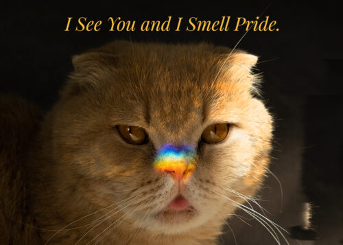 I see you and I smell Pride