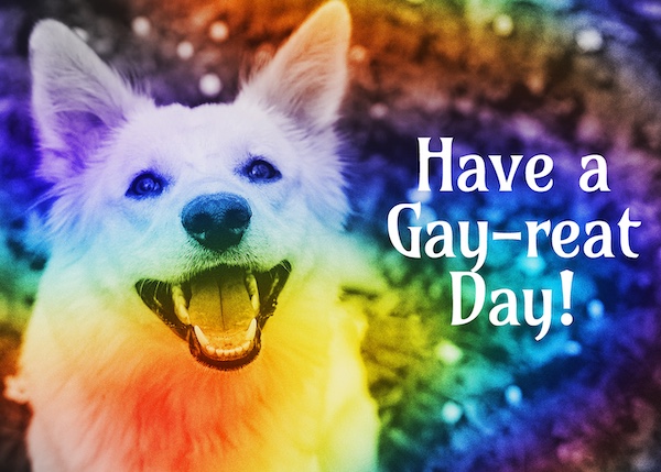 Gay Greeting Cards